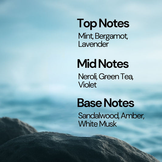 ARCTIC MIST – A Crisp, Revitalizing Escape